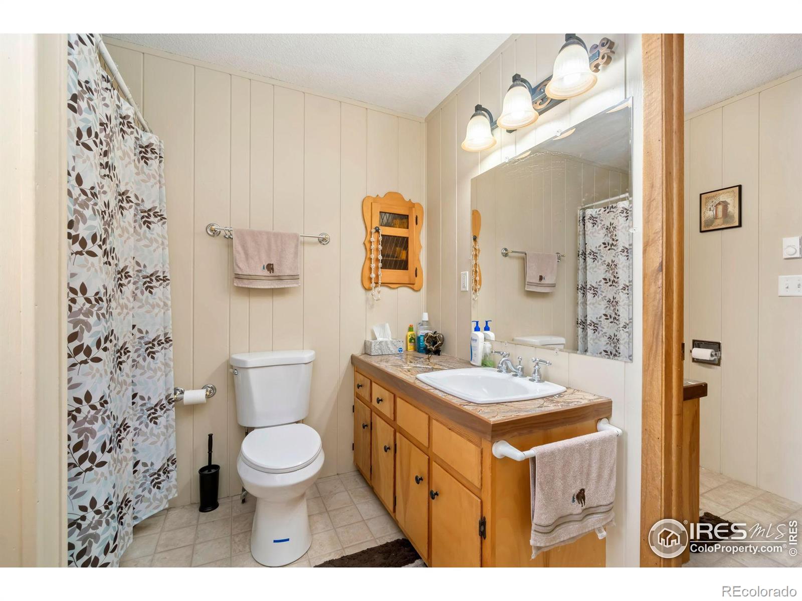 76 Piney Knolls Drive Red Feather Lakes CO 80545