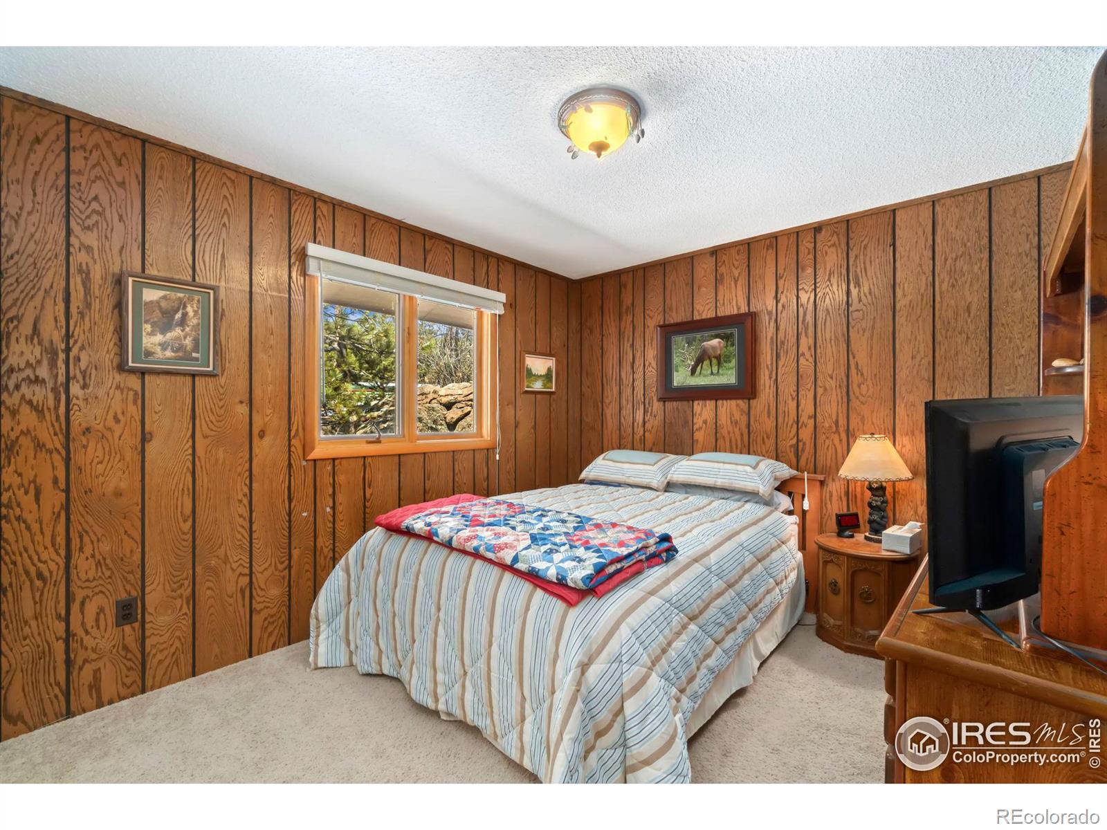 76 Piney Knolls Drive Red Feather Lakes CO 80545
