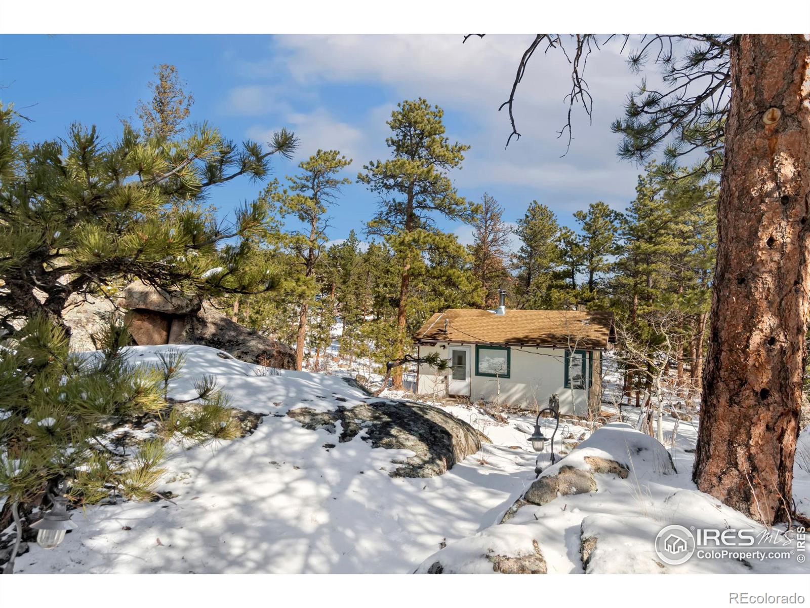 76 Piney Knolls Drive Red Feather Lakes CO 80545