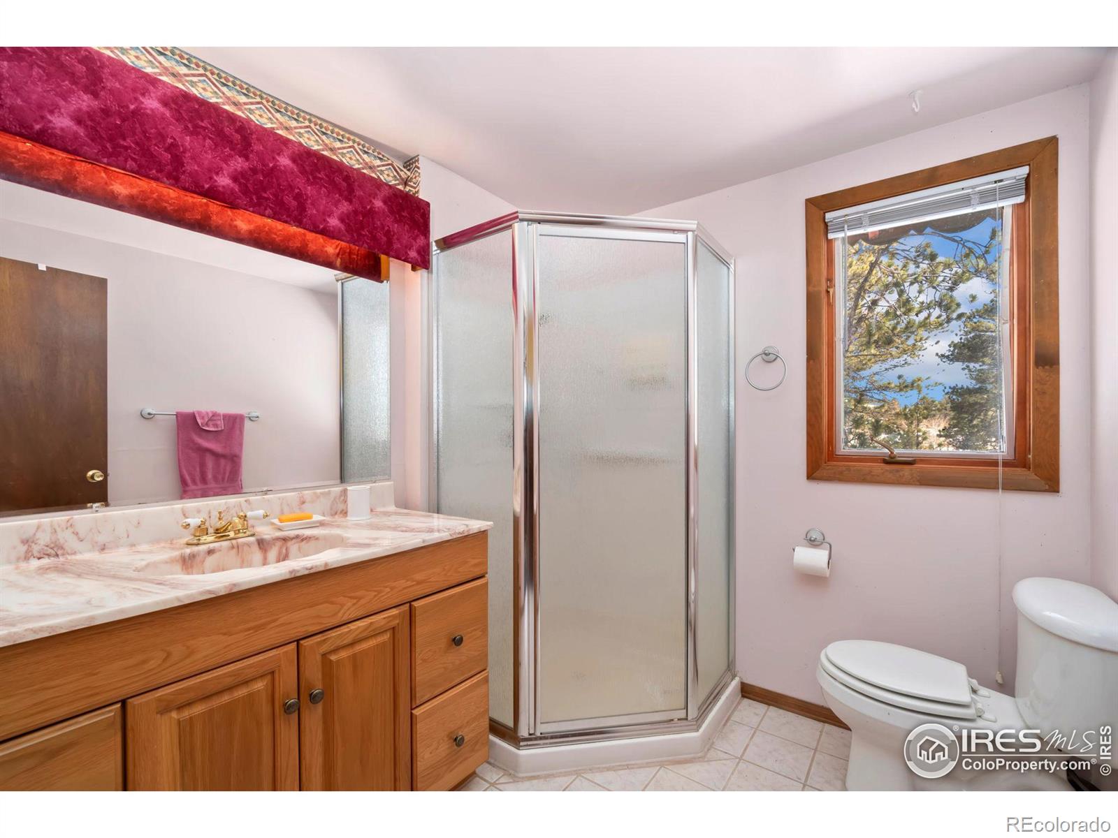 76 Piney Knolls Drive Red Feather Lakes CO 80545