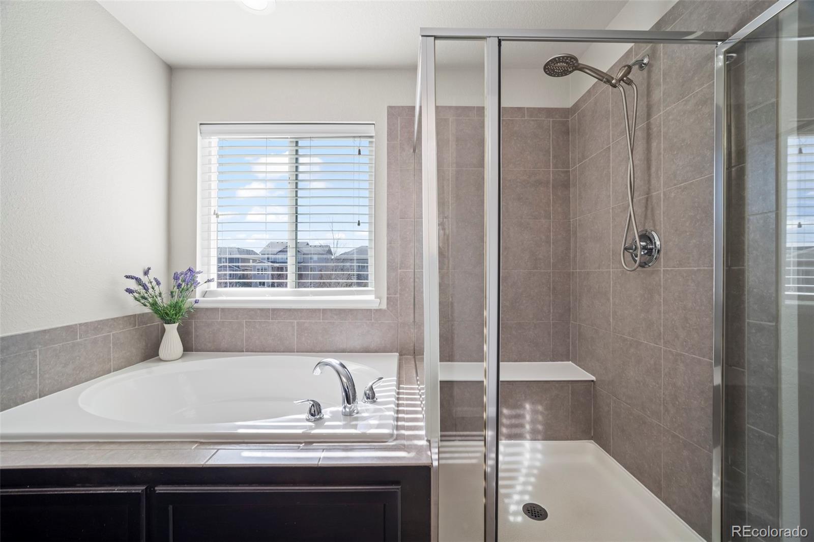 11195 Cinch Way Parker CO 80134