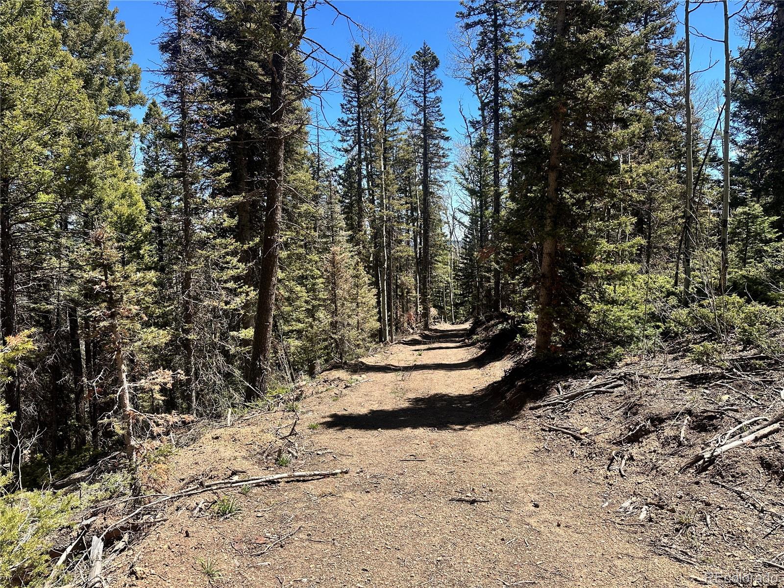 3425 Co Road 360 Westcliffe CO 81252