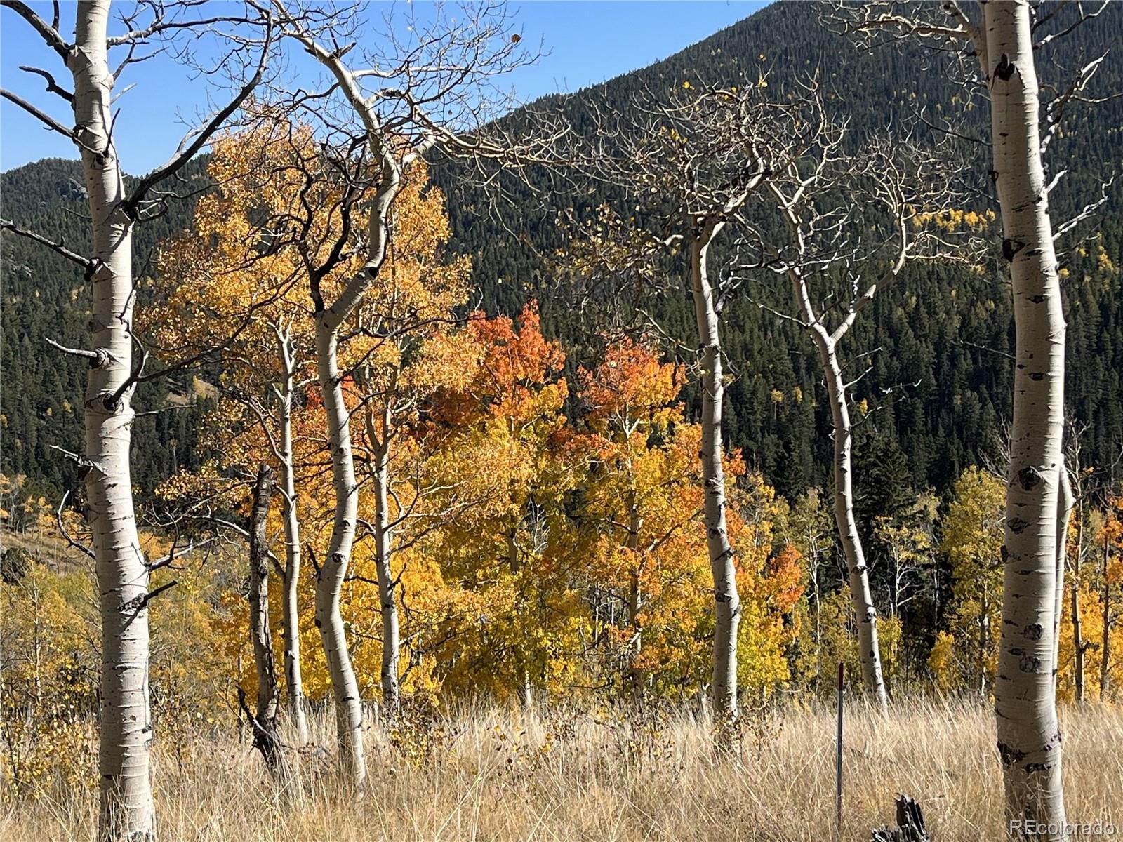 3425 Co Road 360 Westcliffe CO 81252