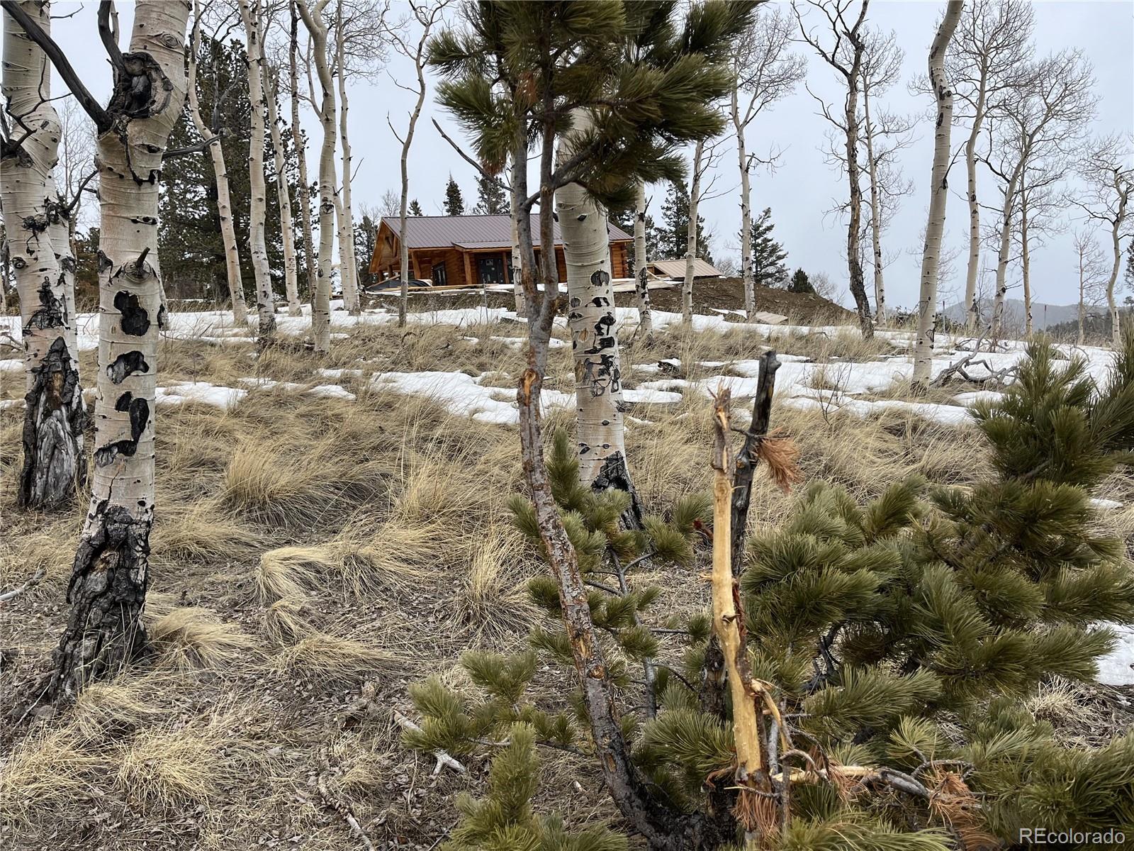 3425 Co Road 360 Westcliffe CO 81252