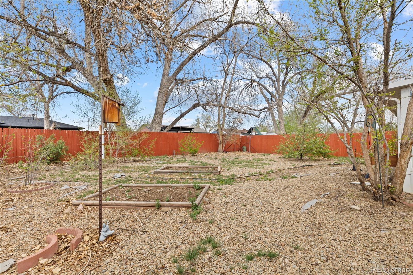 13041 Olmsted Place Denver CO 80239