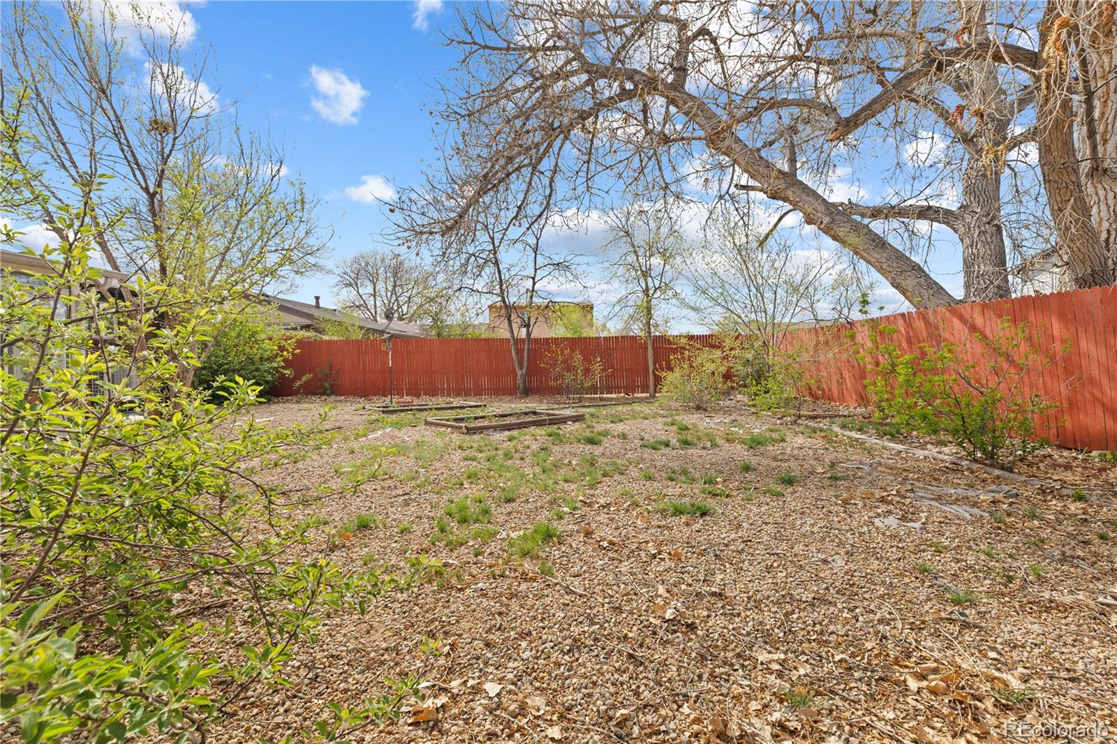 13041 Olmsted Place Denver CO 80239