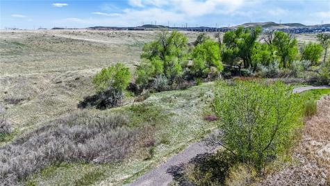10319 Nottingham Drive Parker CO 80134