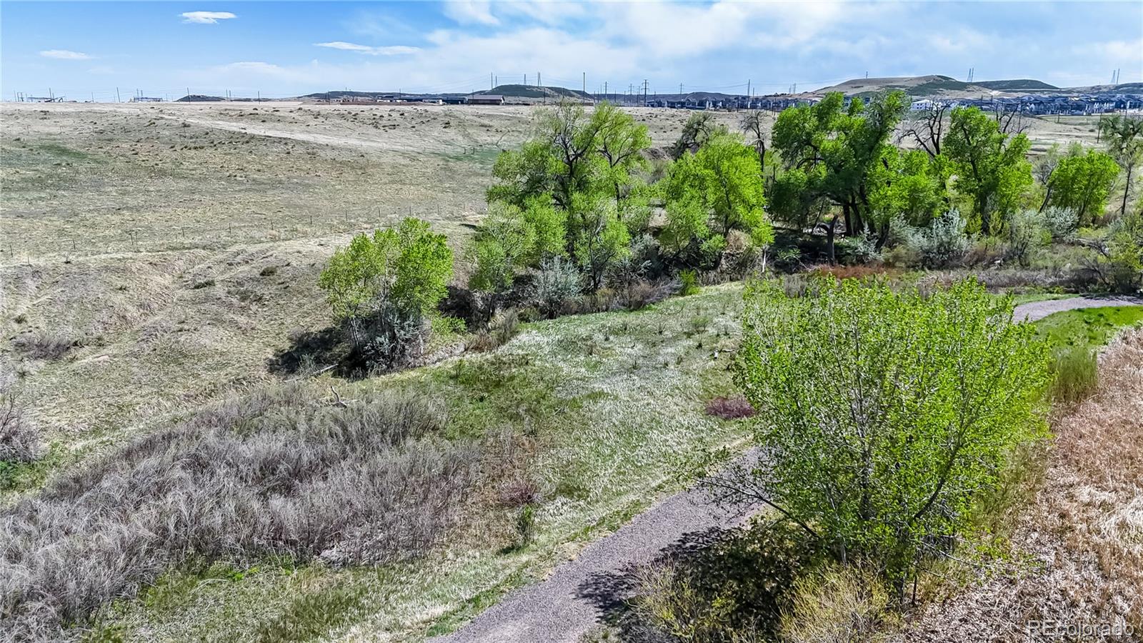 10319 Nottingham Drive Parker CO 80134