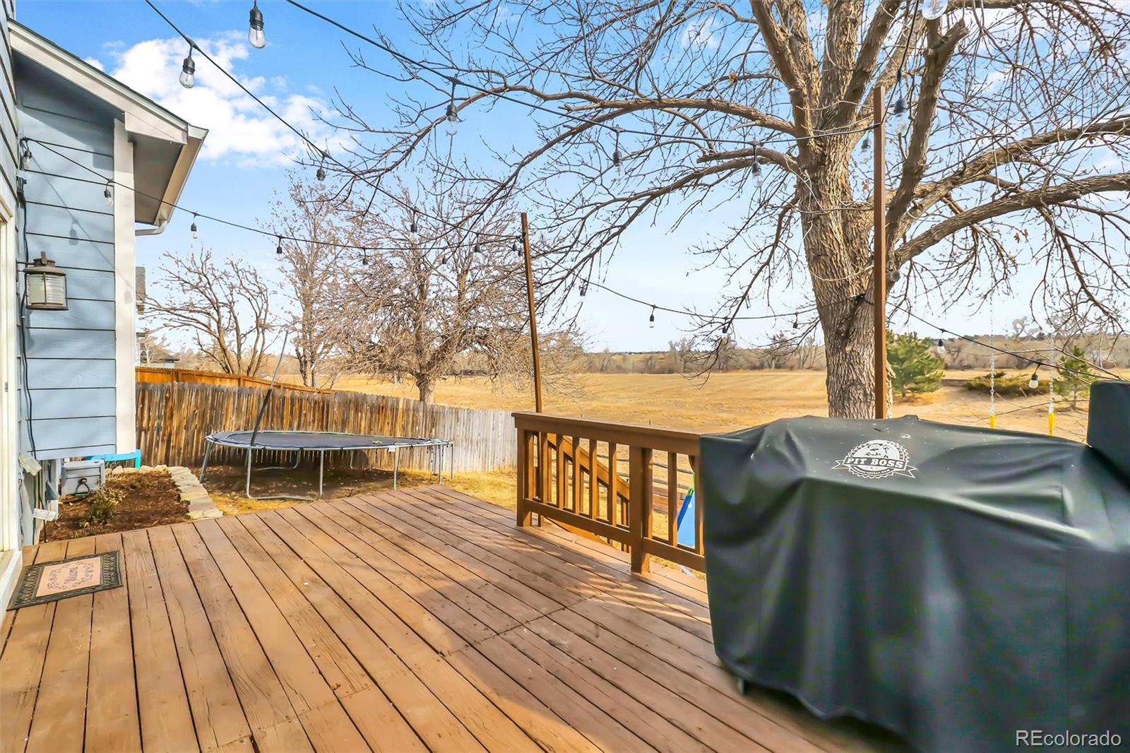 8688 Apache Plume Drive Parker CO 80134