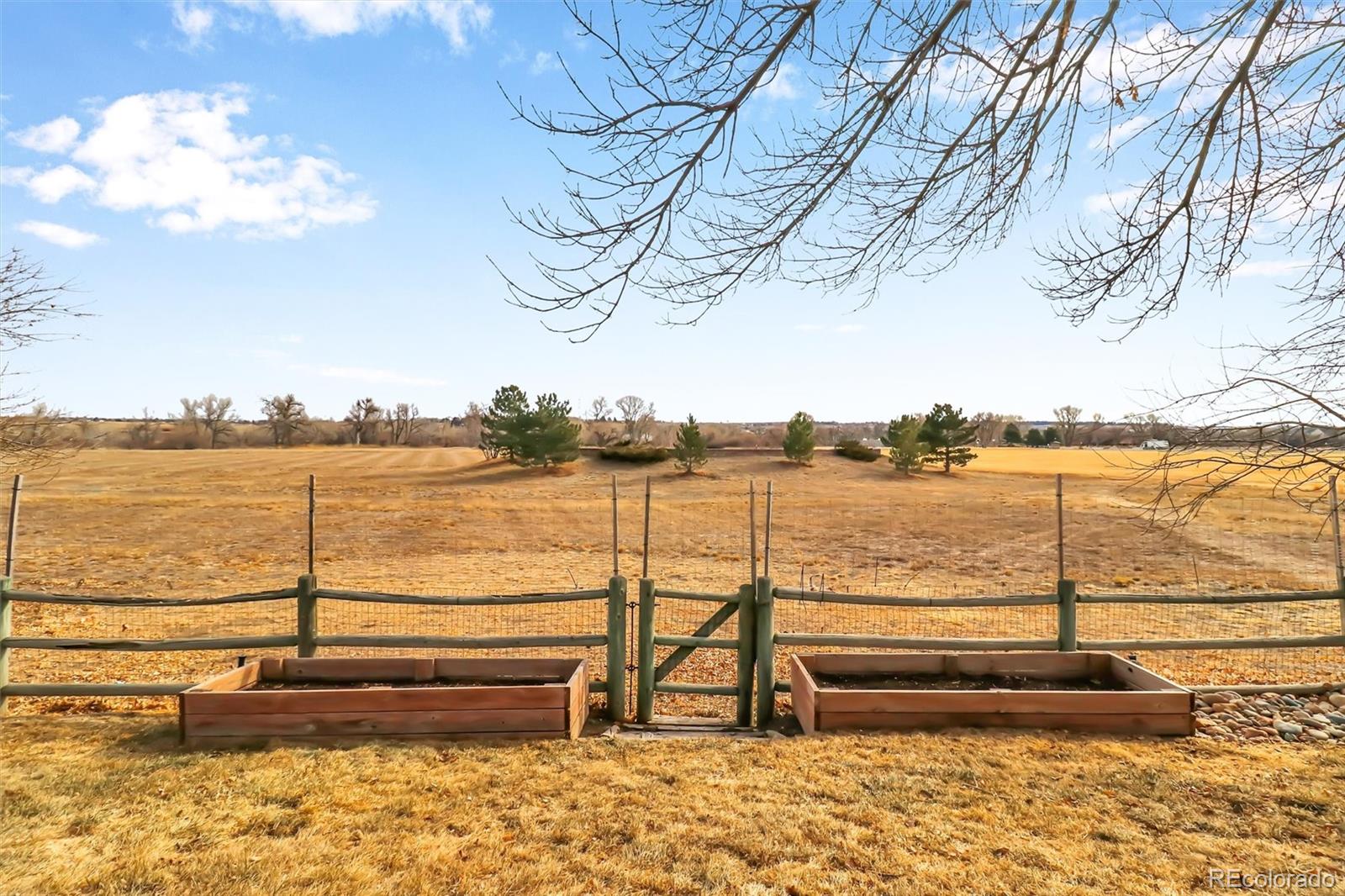 8688 Apache Plume Drive Parker CO 80134