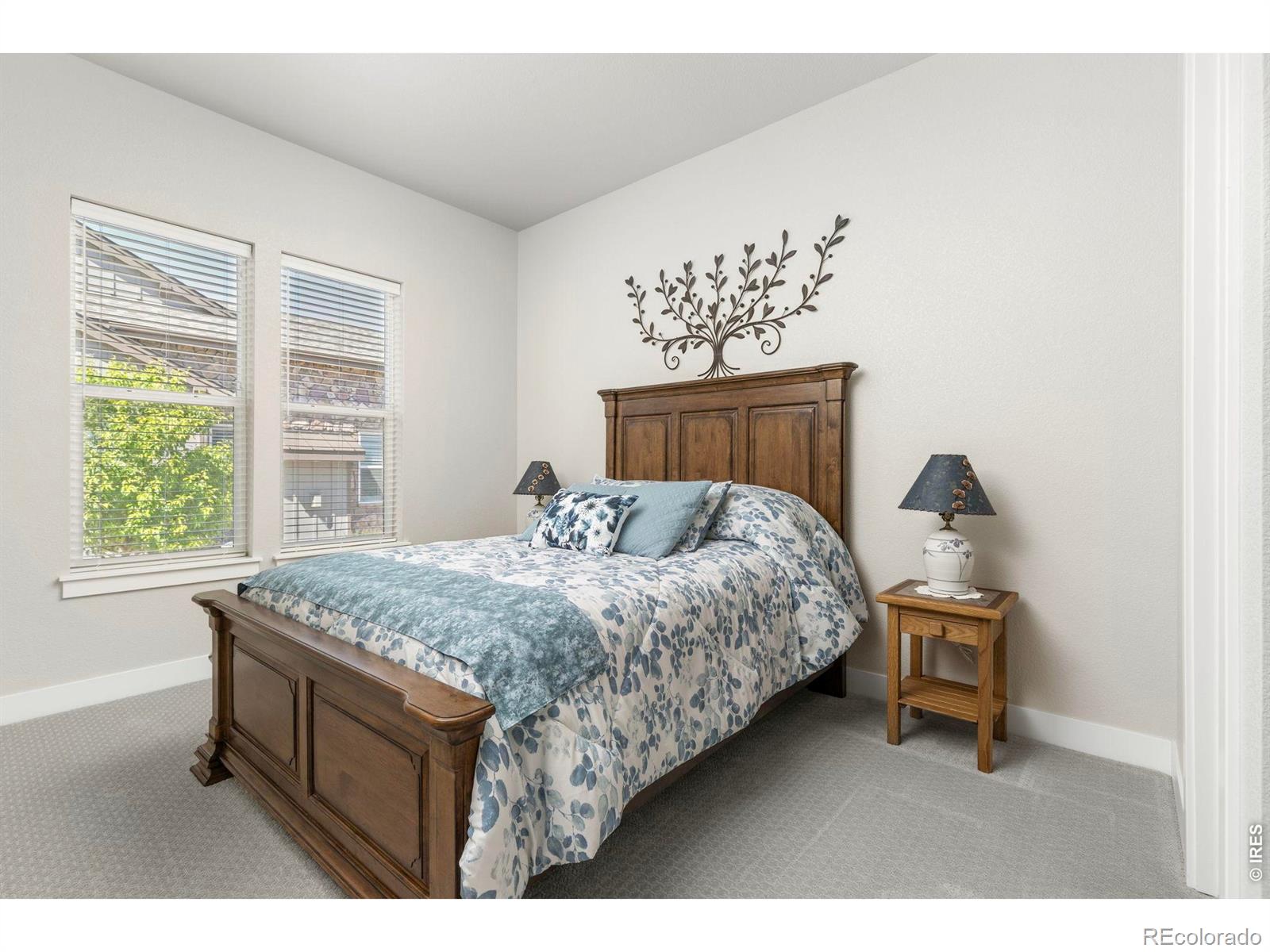 6241 Vernazza Way Windsor CO 80550