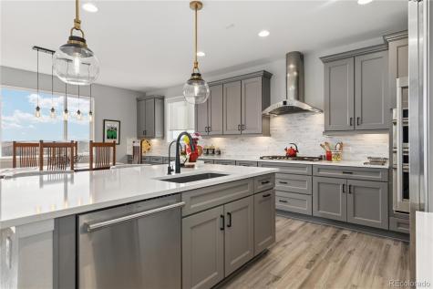 6608 Leilani Drive Castle Rock CO 80108