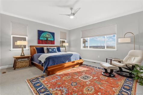 6608 Leilani Drive Castle Rock CO 80108