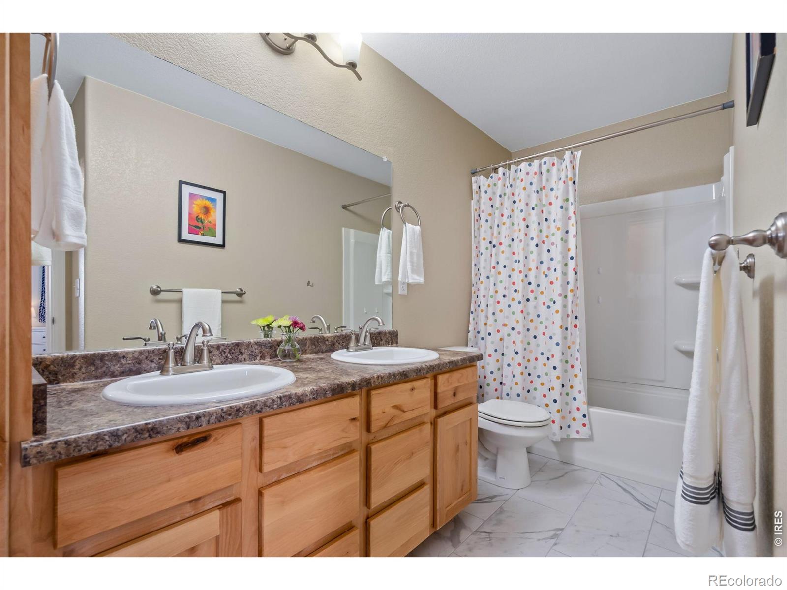 809 Sambar Drive Severance CO 80550
