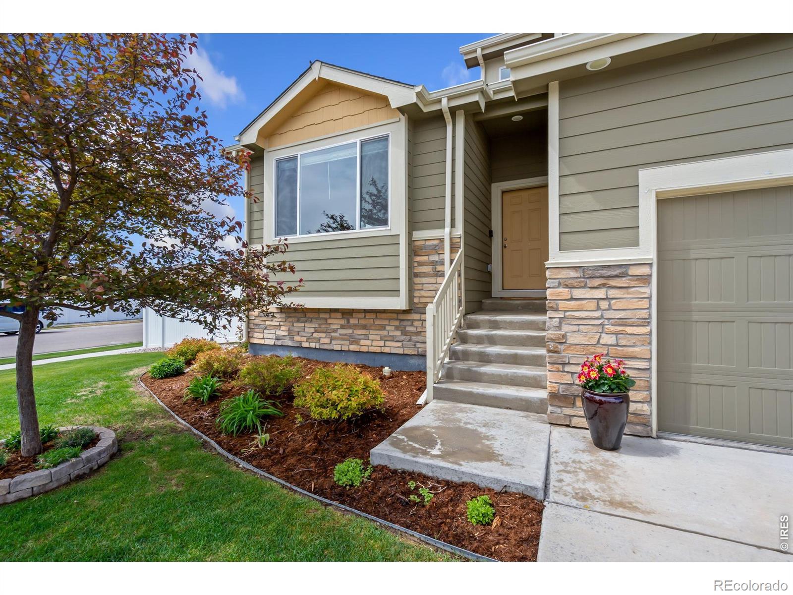 809 Sambar Drive Severance CO 80550