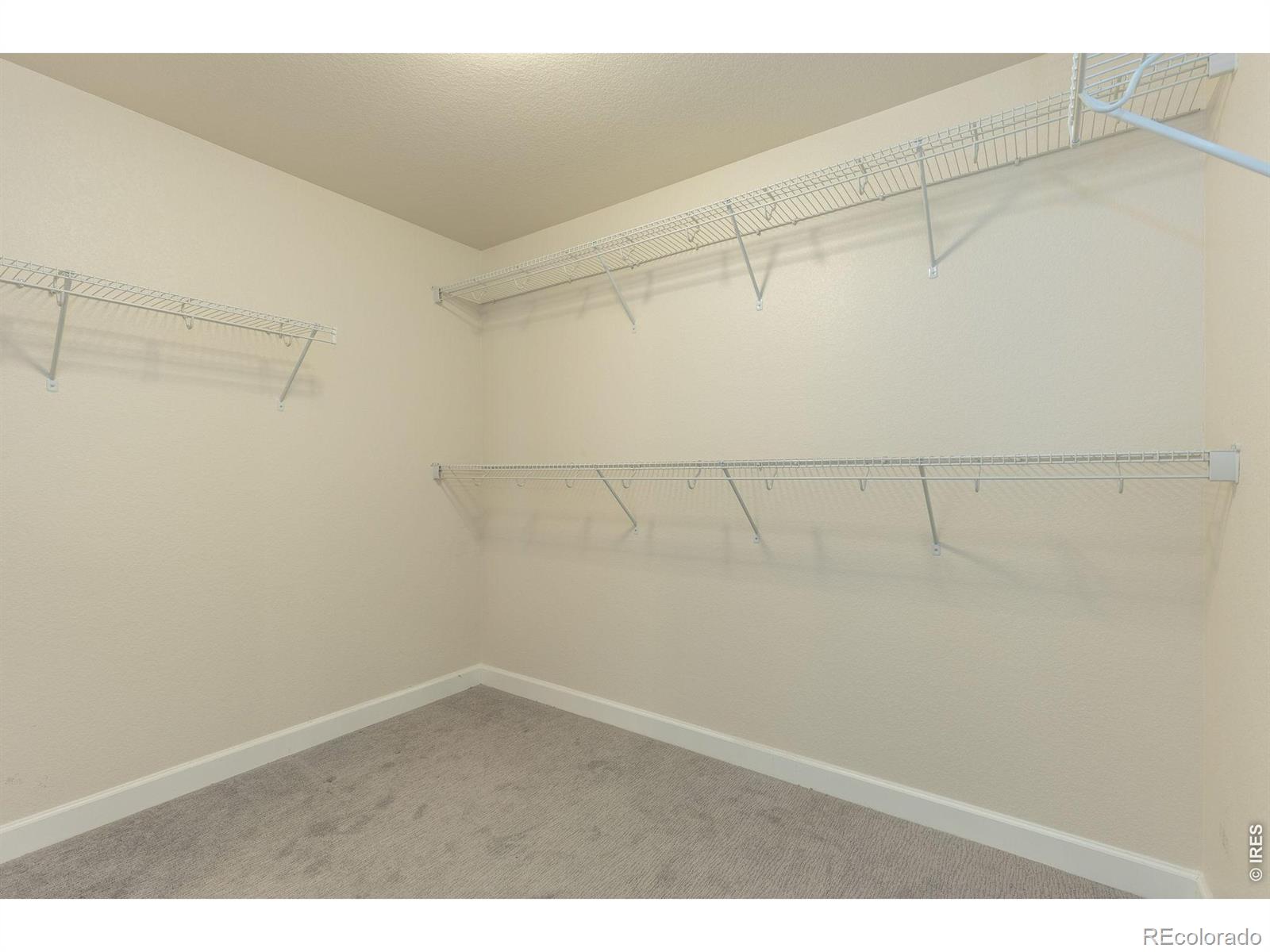 286 Western Sky Circle Longmont CO 80501