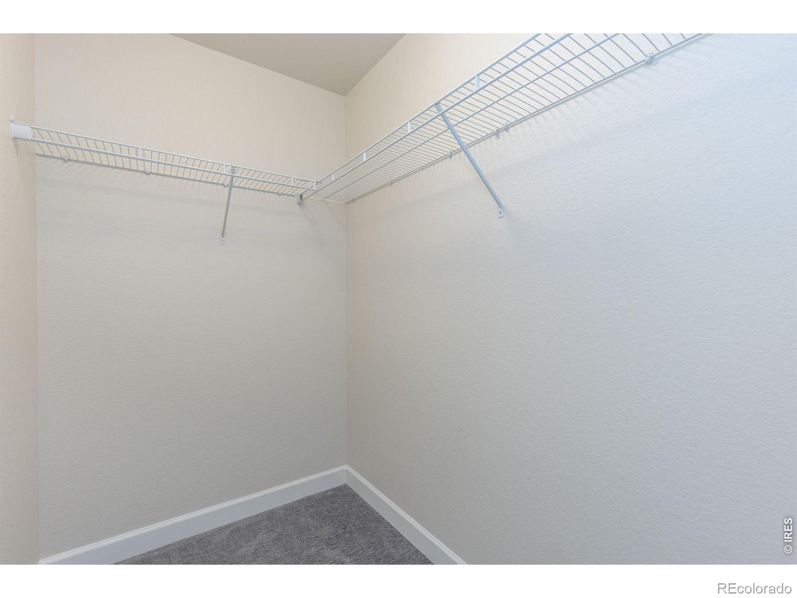 286 Western Sky Circle Longmont CO 80501