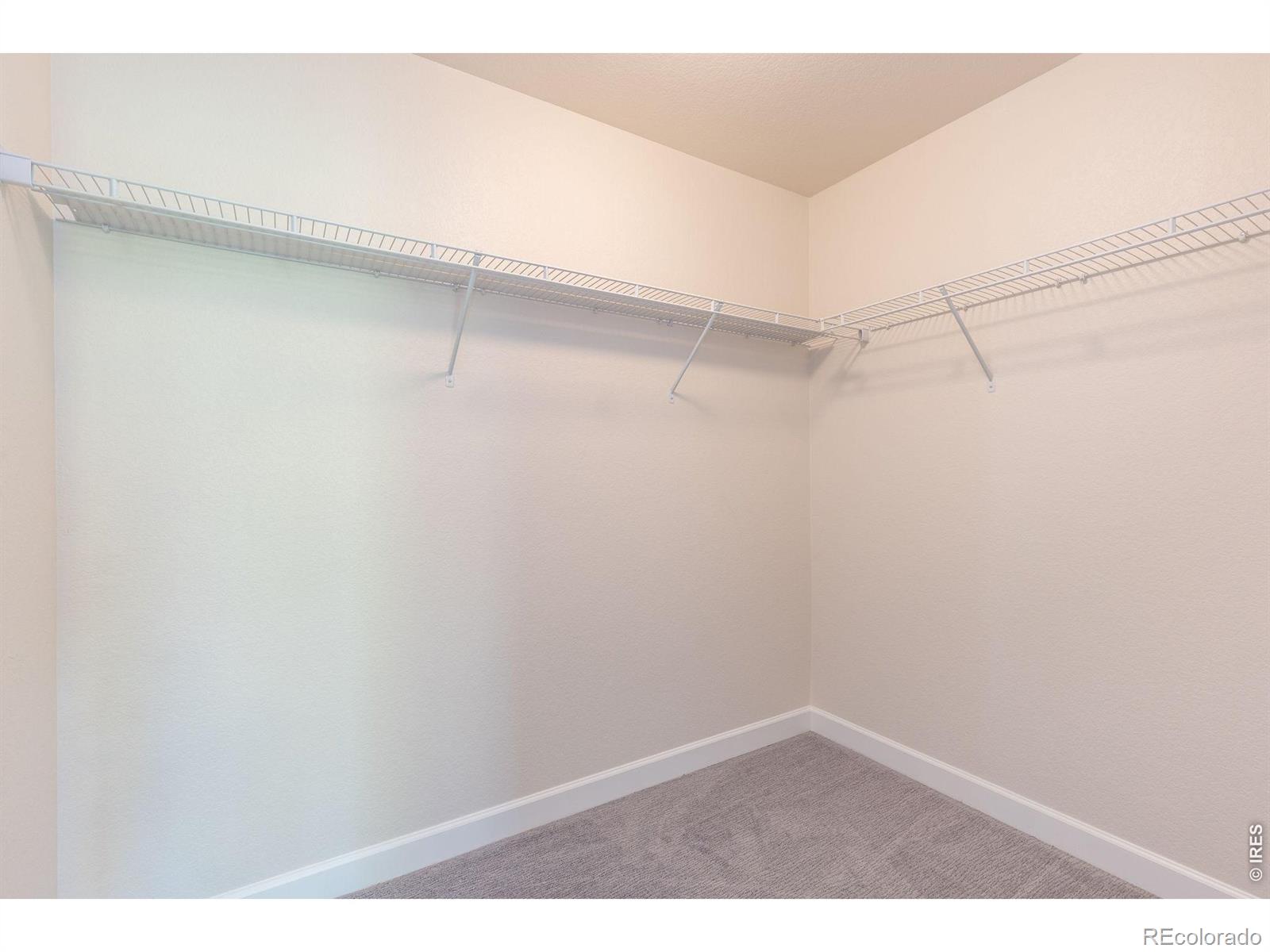 286 Western Sky Circle Longmont CO 80501