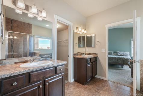 7296 Alpine Daisy Drive Colorado Springs CO 80925