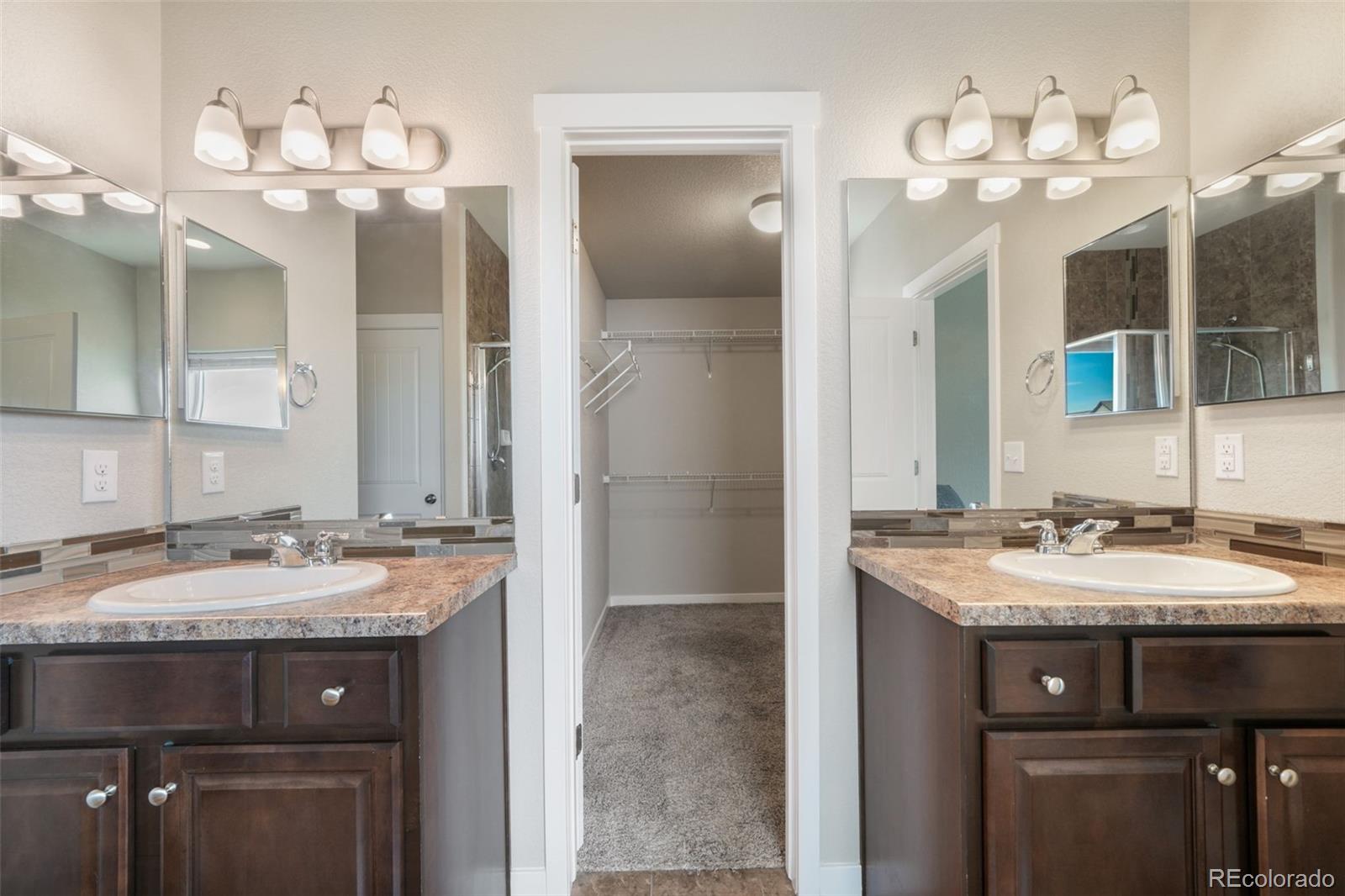 7296 Alpine Daisy Drive Colorado Springs CO 80925