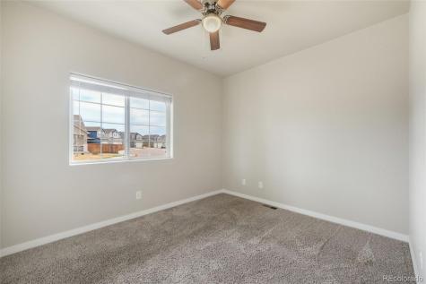 7296 Alpine Daisy Drive Colorado Springs CO 80925