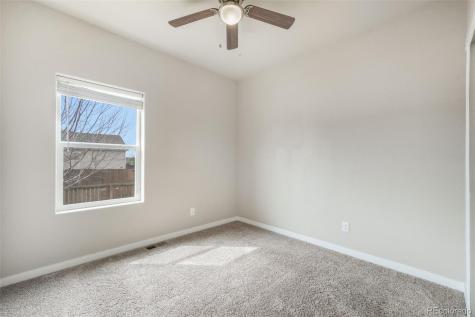 7296 Alpine Daisy Drive Colorado Springs CO 80925