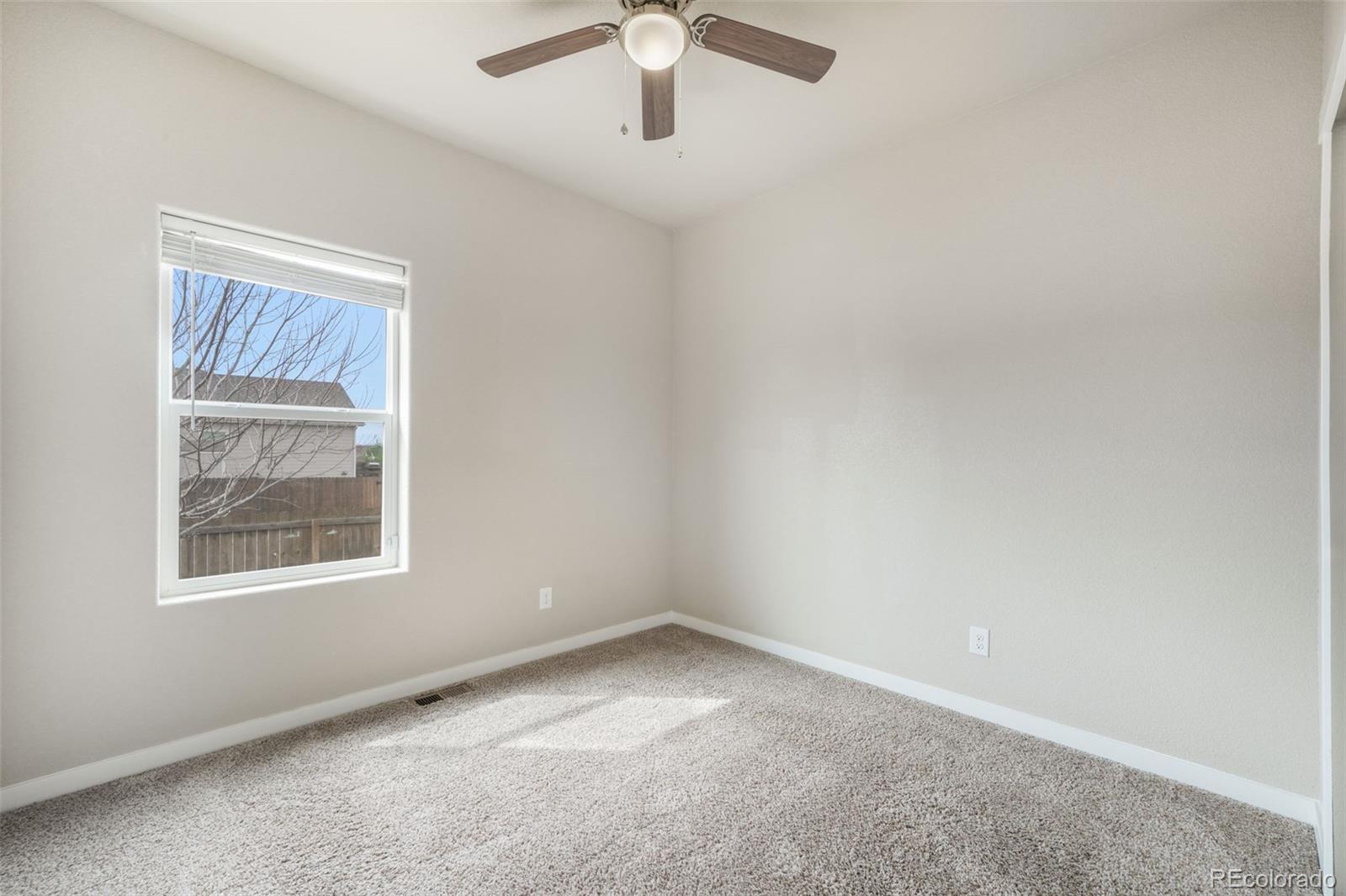 7296 Alpine Daisy Drive Colorado Springs CO 80925