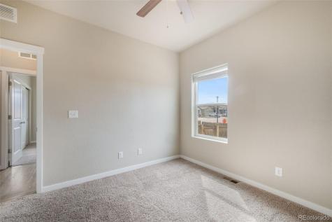 7296 Alpine Daisy Drive Colorado Springs CO 80925