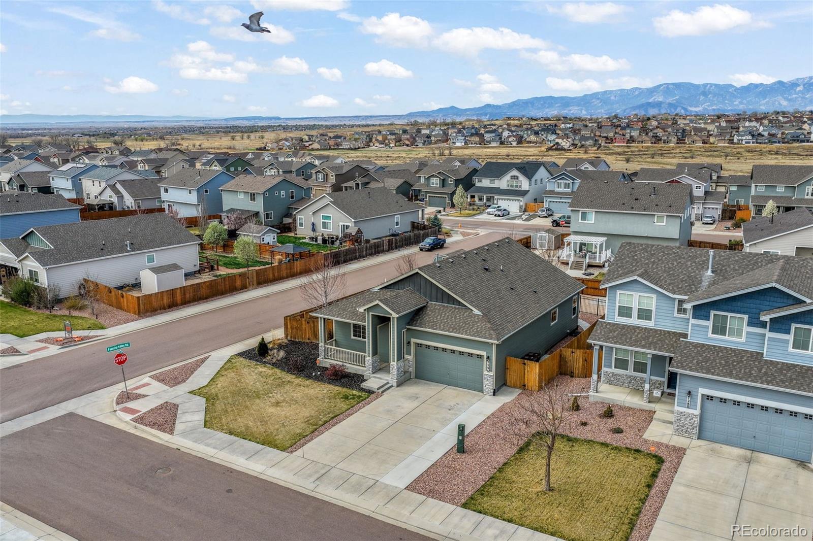 7296 Alpine Daisy Drive Colorado Springs CO 80925