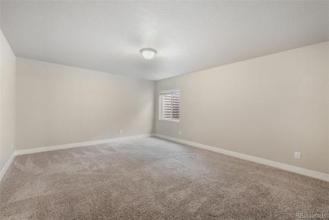 7296 Alpine Daisy Drive Colorado Springs CO 80925