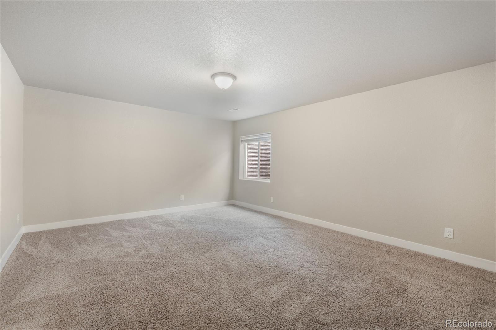 7296 Alpine Daisy Drive Colorado Springs CO 80925