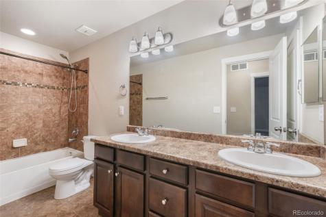 7296 Alpine Daisy Drive Colorado Springs CO 80925
