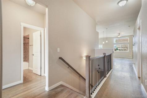 7296 Alpine Daisy Drive Colorado Springs CO 80925