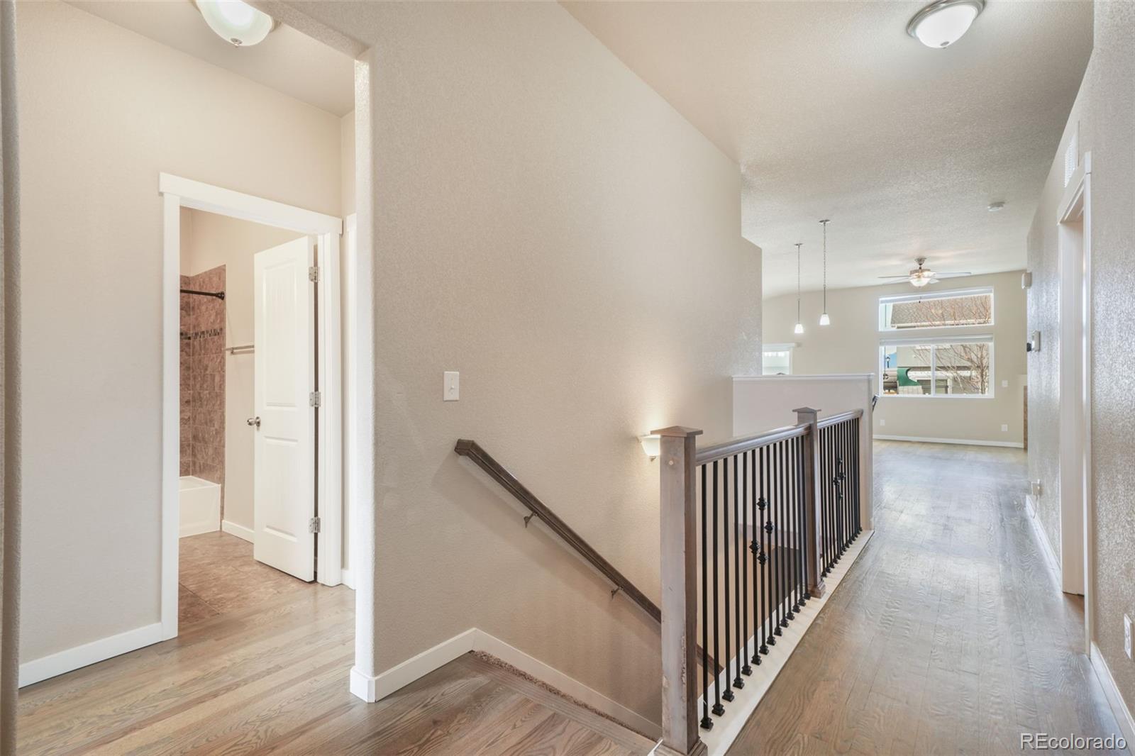 7296 Alpine Daisy Drive Colorado Springs CO 80925