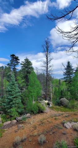 880 Burno Mountain Road Cotopaxi CO 81223