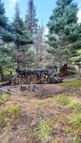 880 Burno Mountain Road Cotopaxi CO 81223