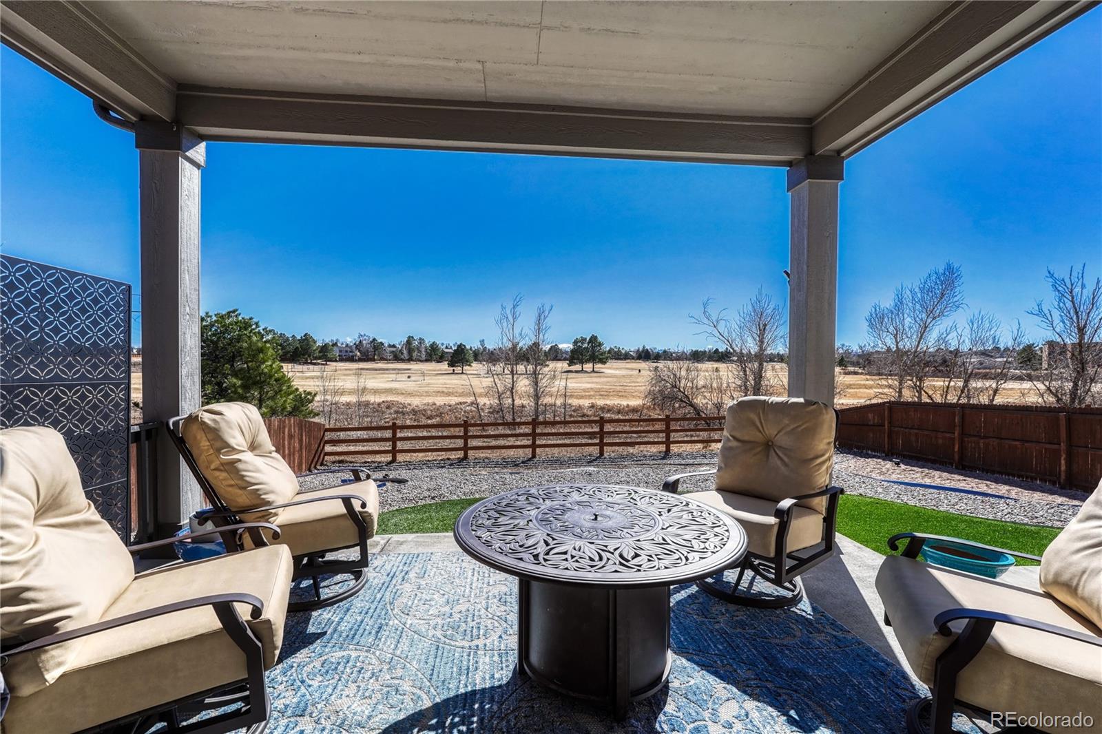 448 Blue Teal Drive Castle Rock CO 80104