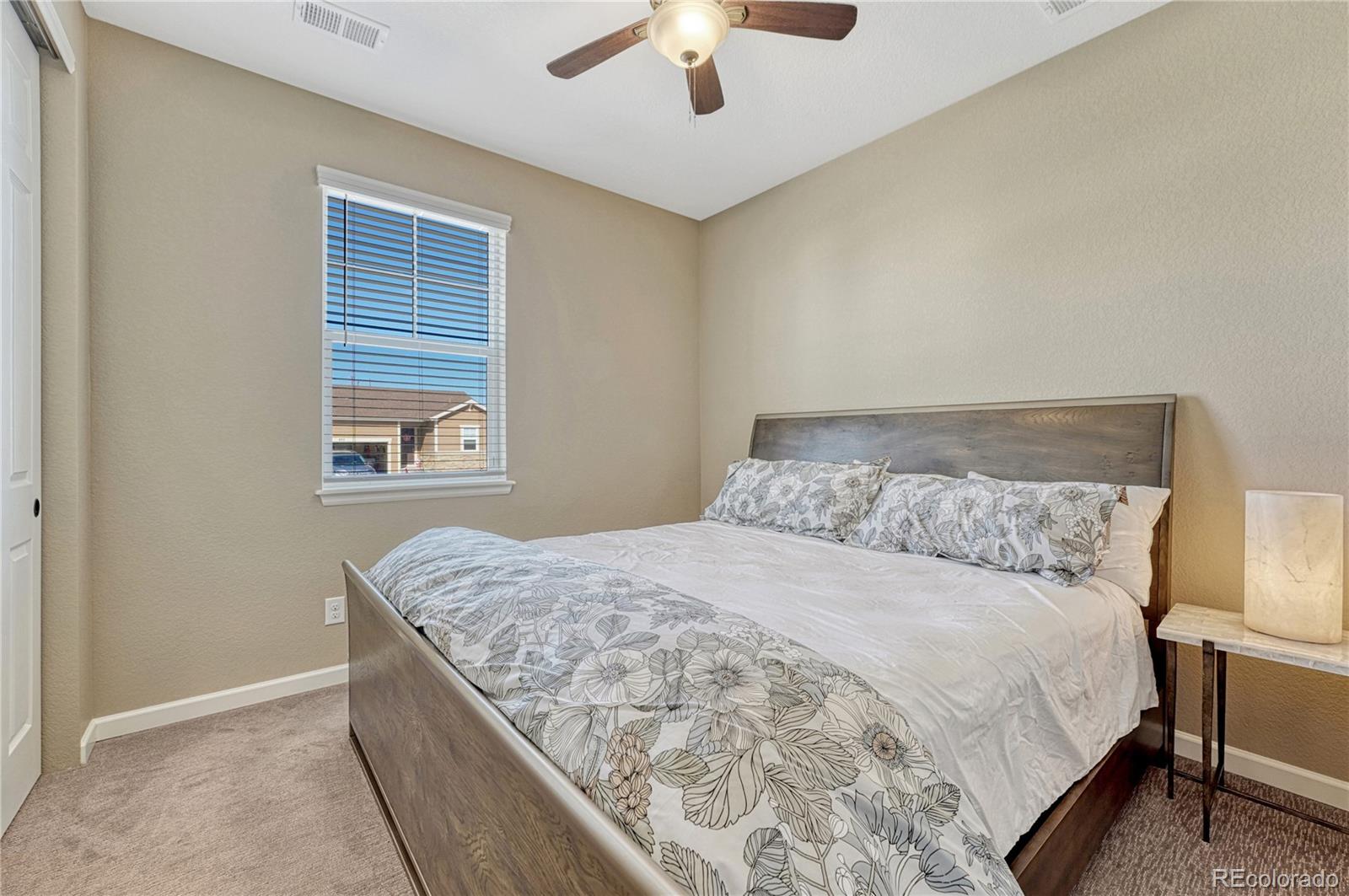 448 Blue Teal Drive Castle Rock CO 80104