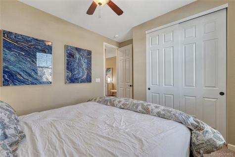 448 Blue Teal Drive Castle Rock CO 80104