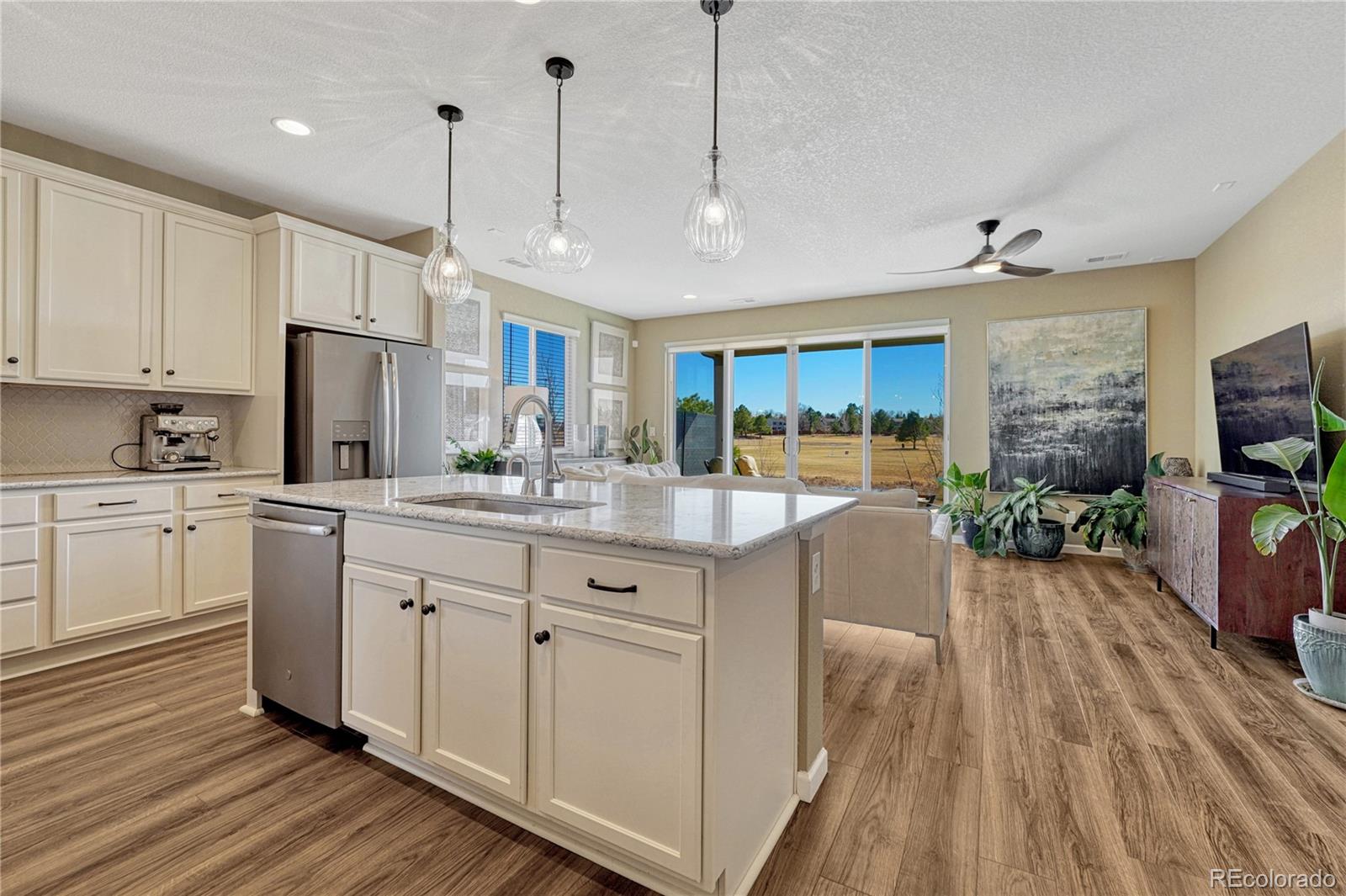 448 Blue Teal Drive Castle Rock CO 80104