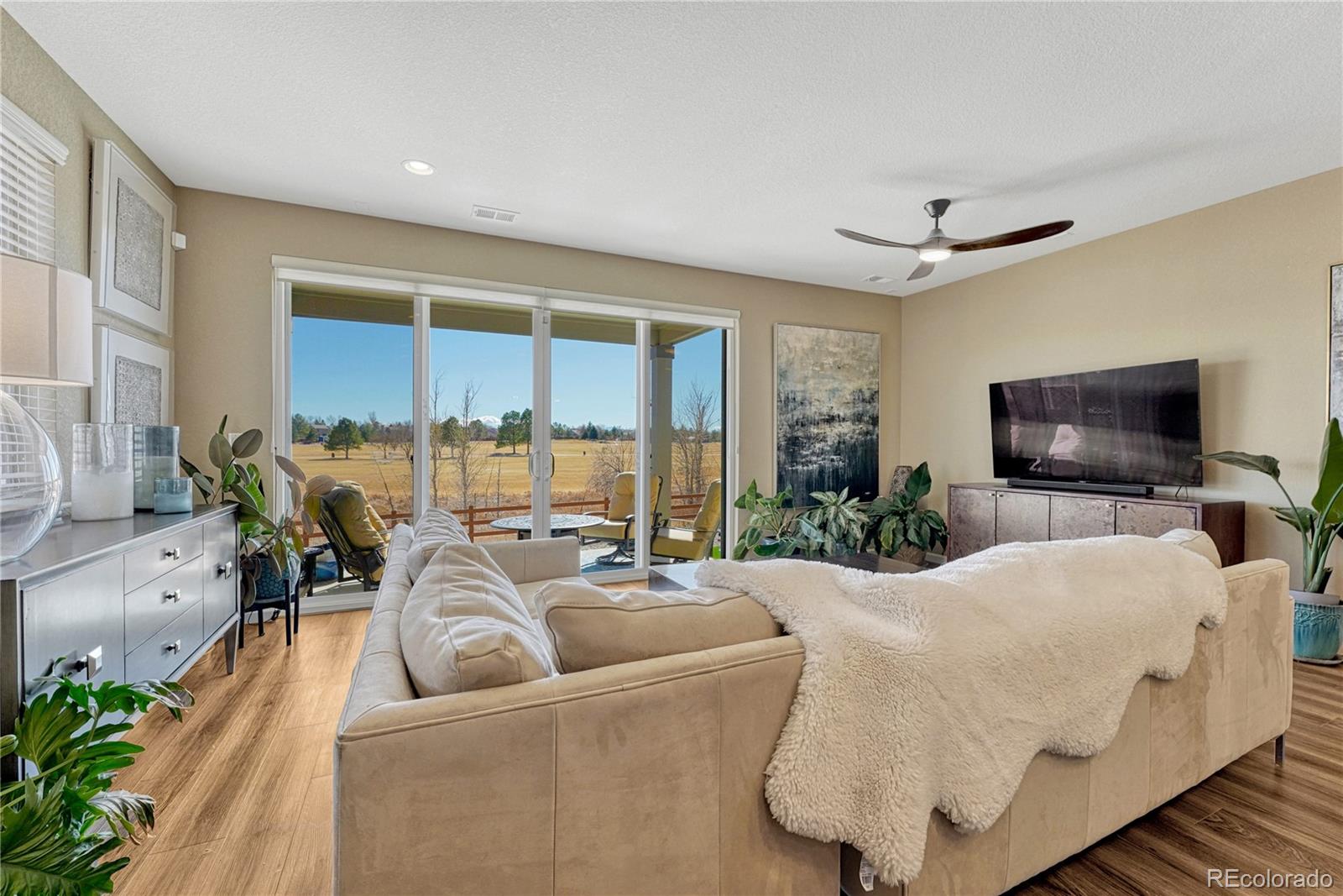 448 Blue Teal Drive Castle Rock CO 80104