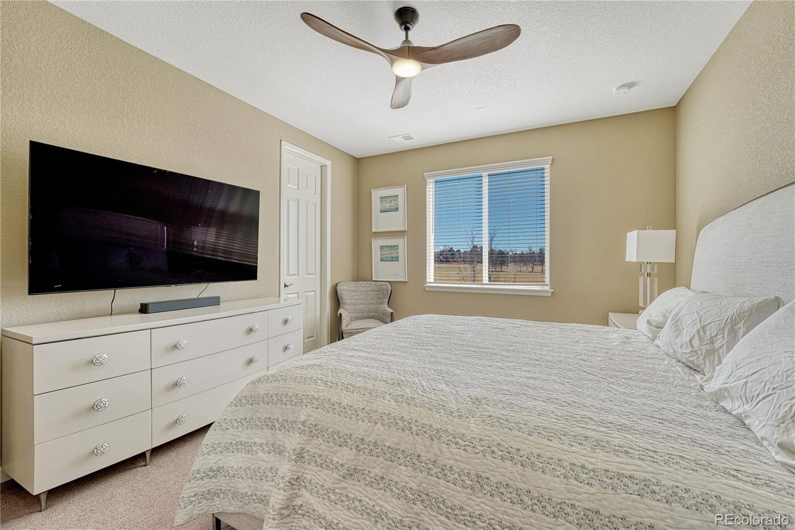 448 Blue Teal Drive Castle Rock CO 80104
