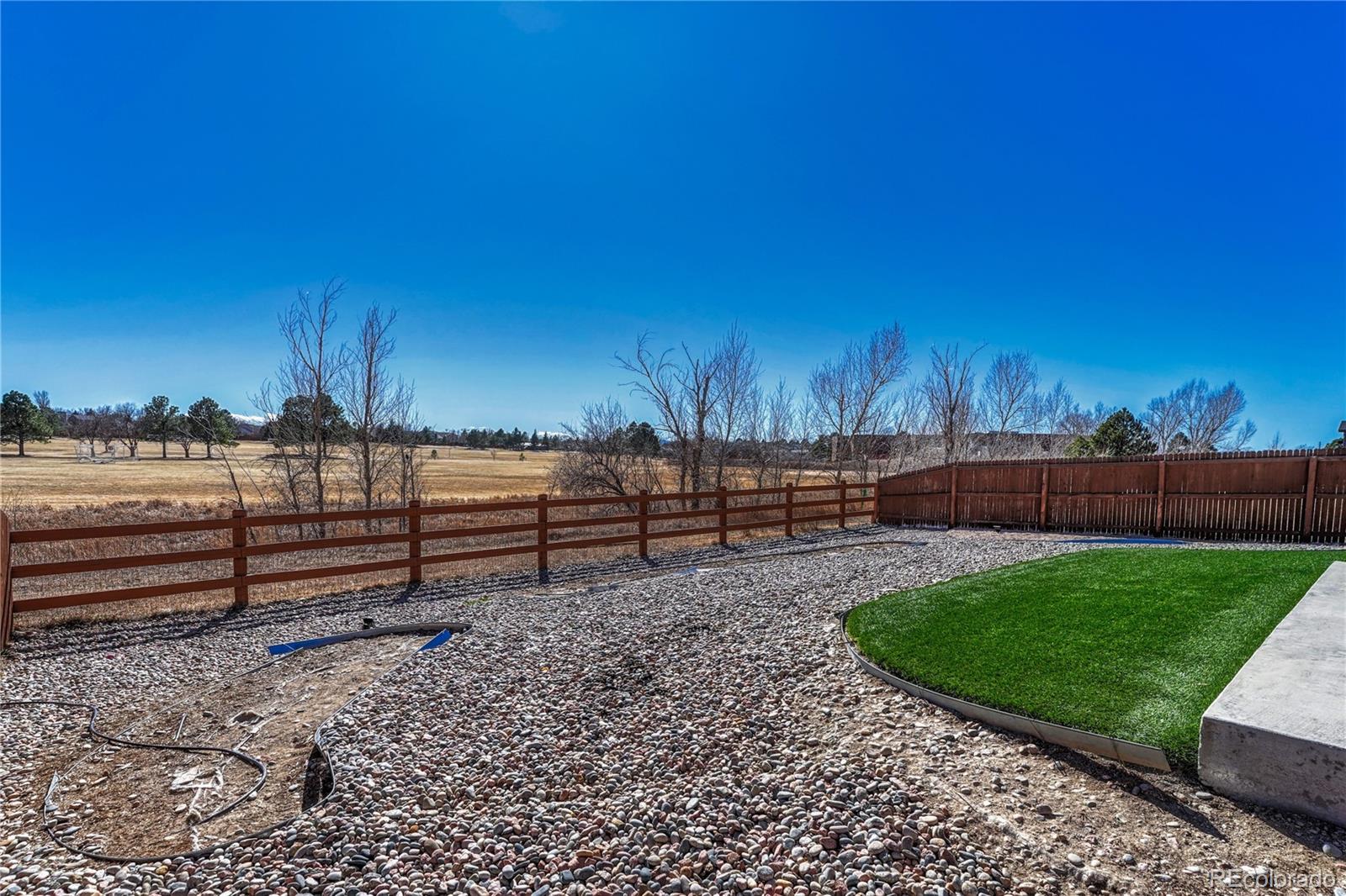 448 Blue Teal Drive Castle Rock CO 80104