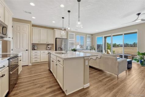 448 Blue Teal Drive Castle Rock CO 80104