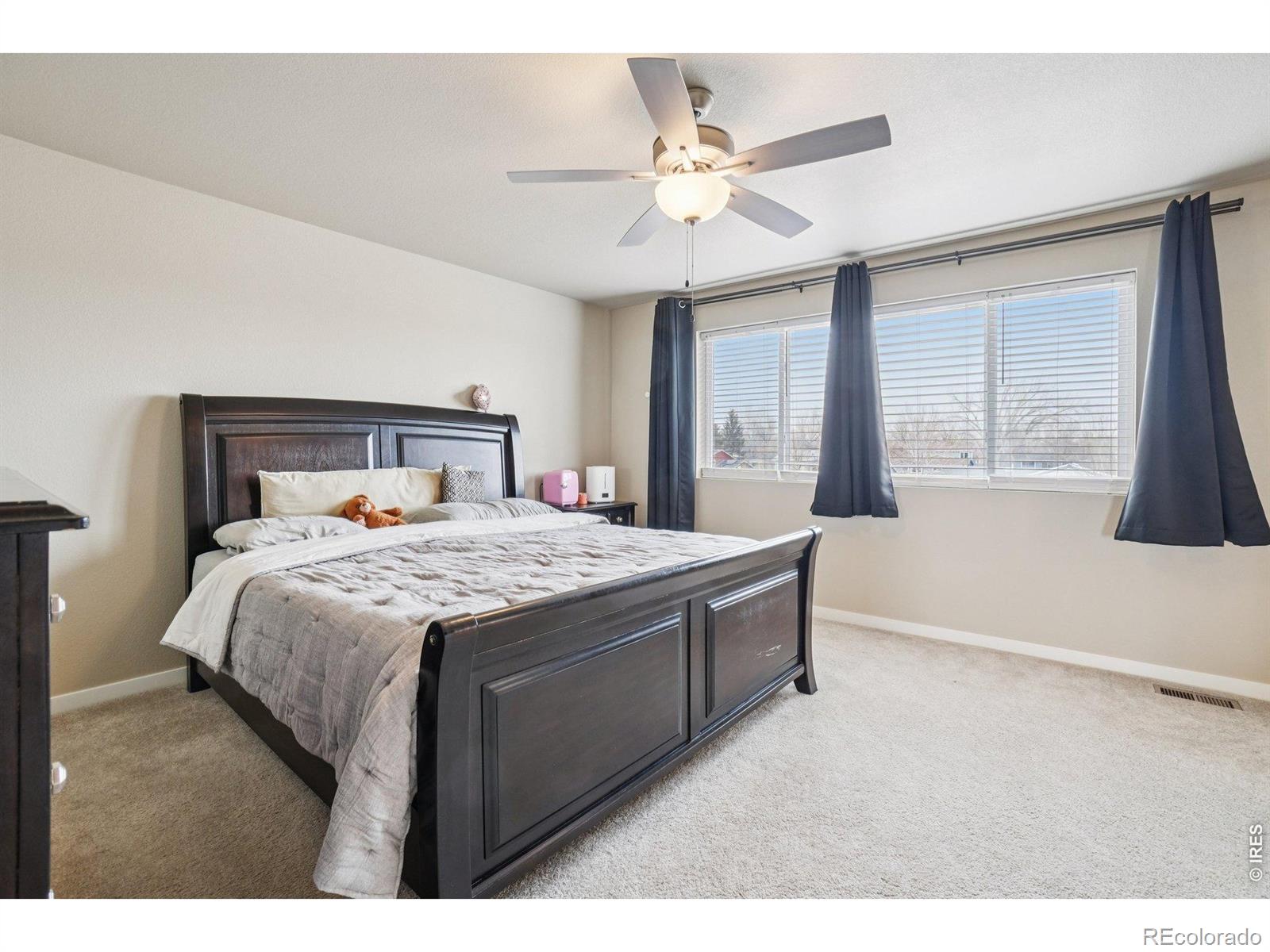 3774 Beech Tree Street Wellington CO 80549