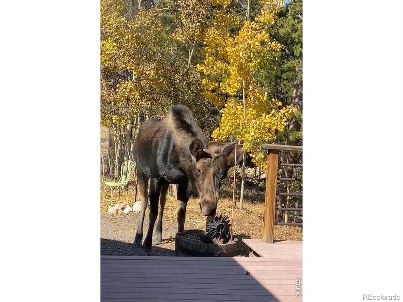 220 Timber Road Black Hawk CO 80422