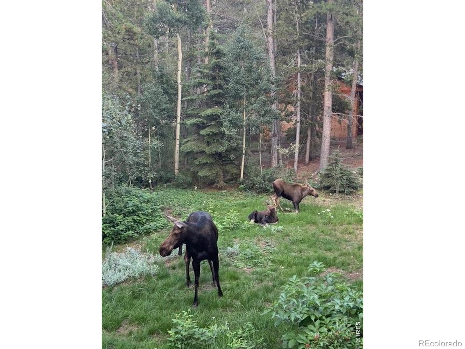 220 Timber Road Black Hawk CO 80422