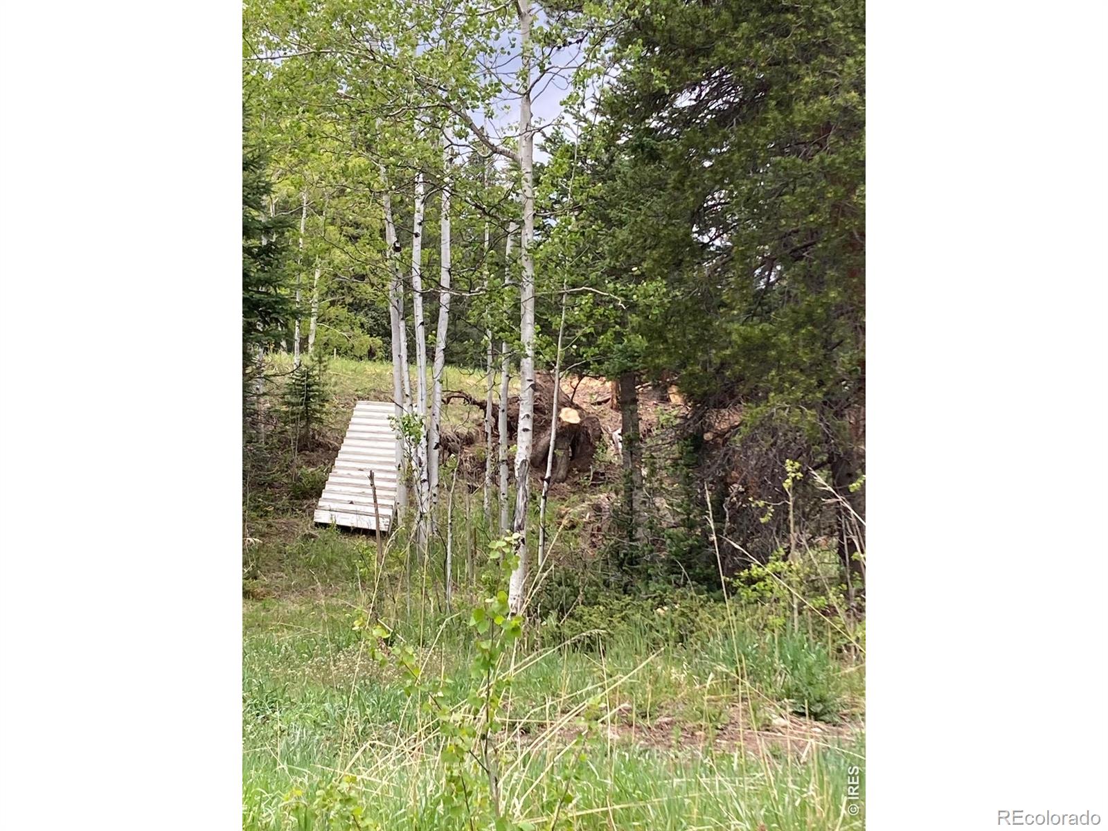 1064 Cold Springs Road Nederland CO 80466
