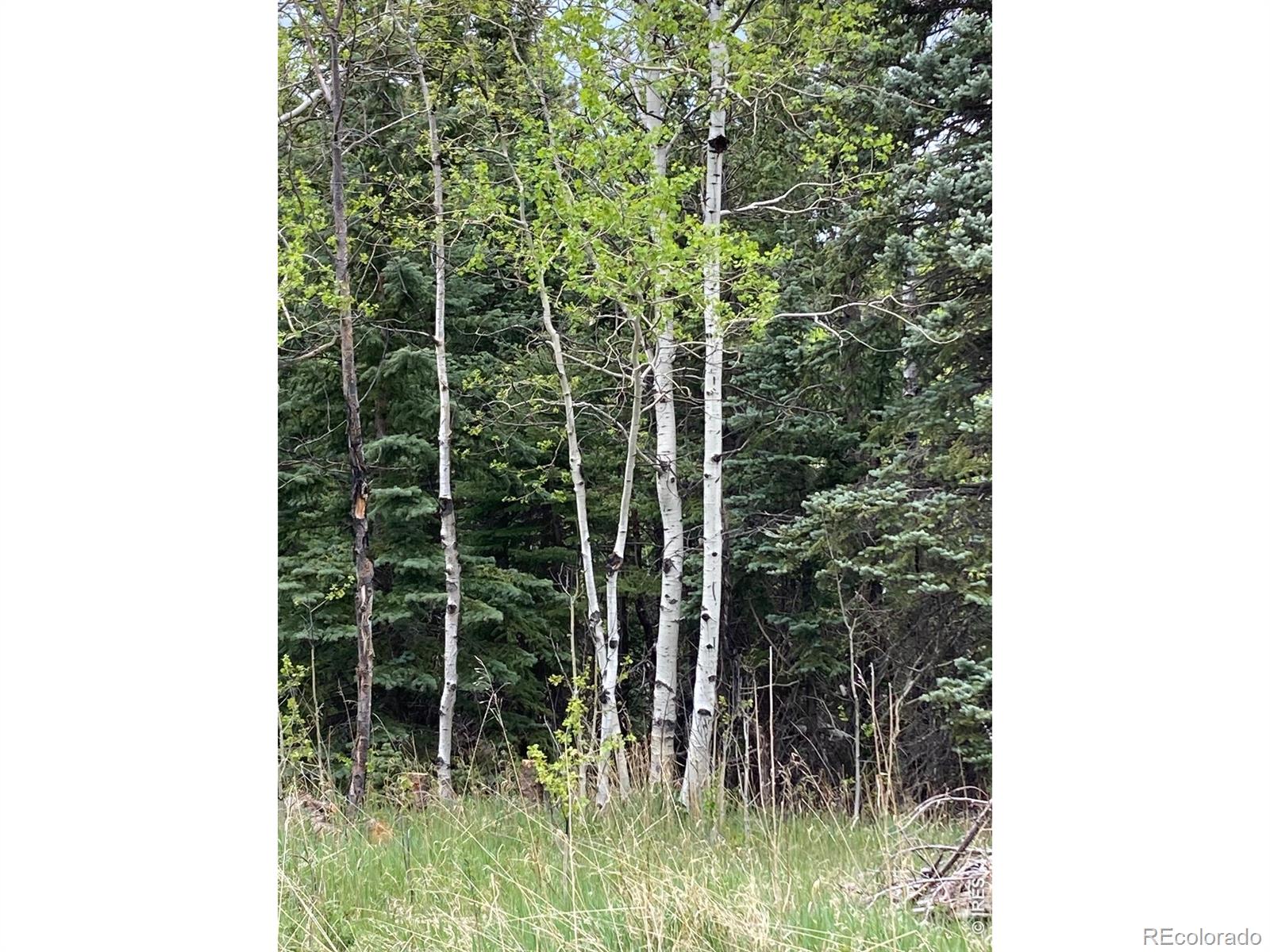 1064 Cold Springs Road Nederland CO 80466
