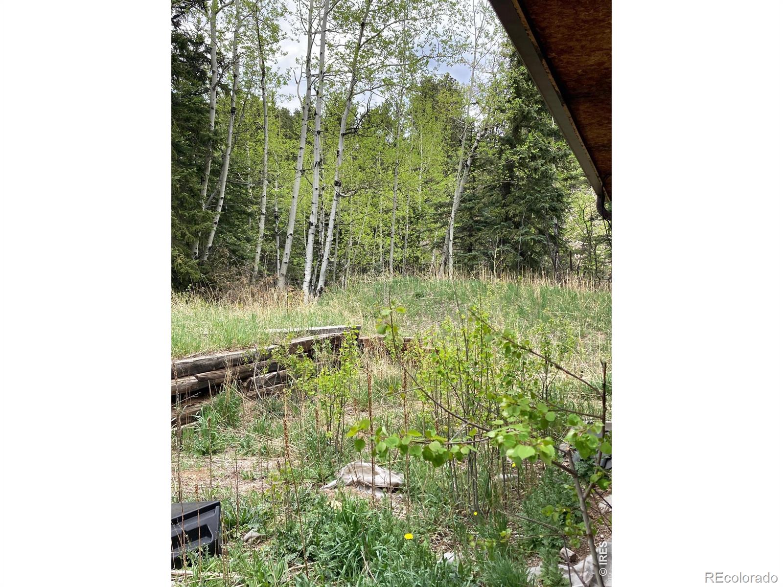 1064 Cold Springs Road Nederland CO 80466